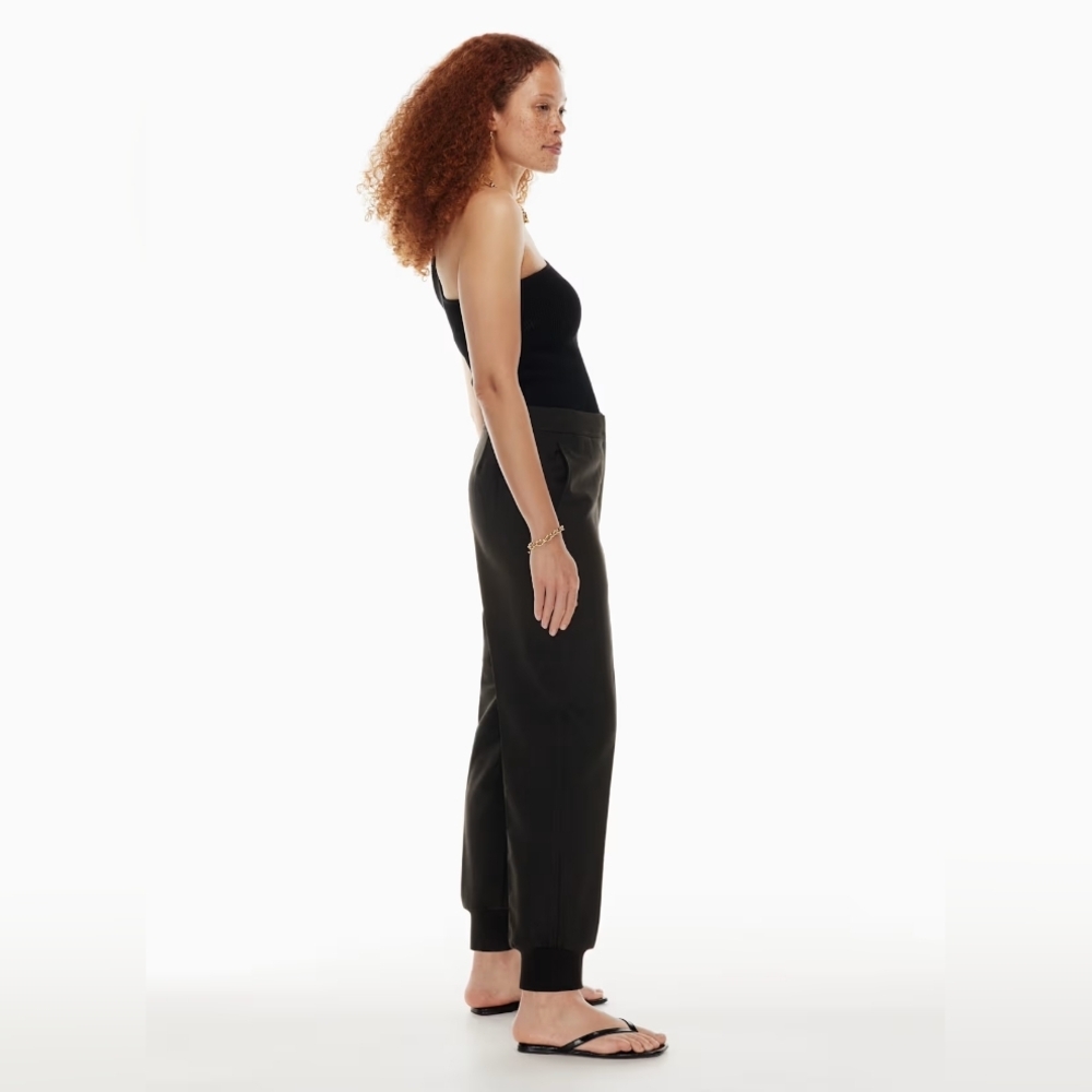 Aritzia Babaton Allegory Jogger size 4 BNWT - Picture 3 of 11